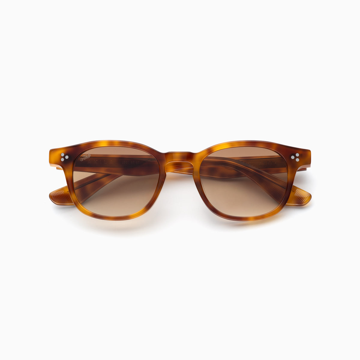 Atria — Butterscotch Tortoise / Sepia Gradient