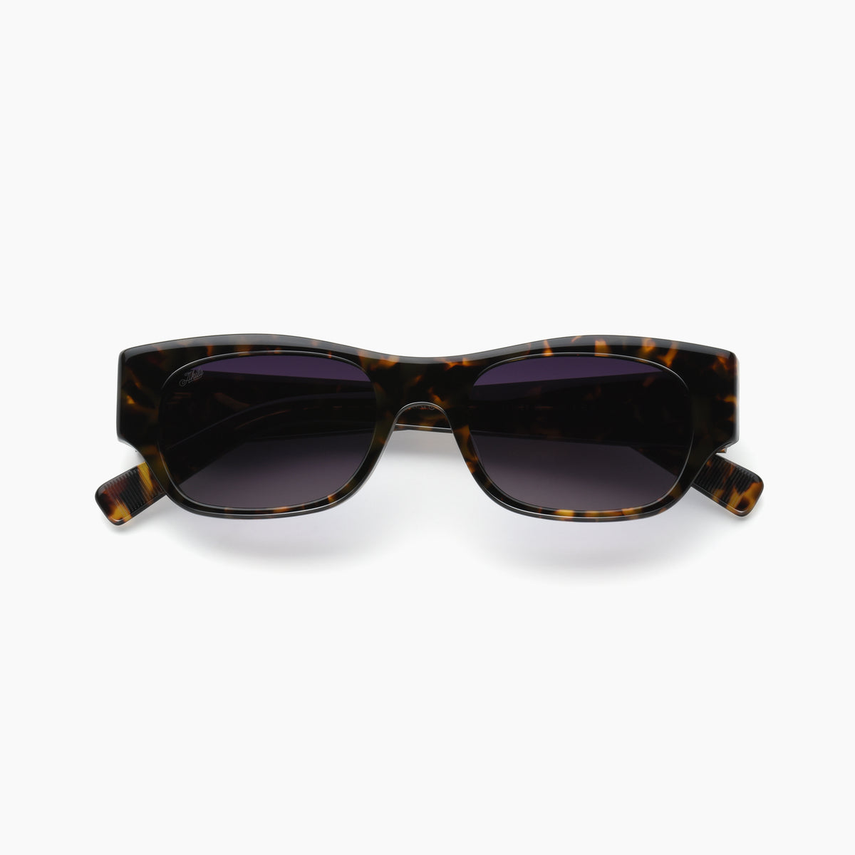 Vega — Tortoise / Purple Gradient