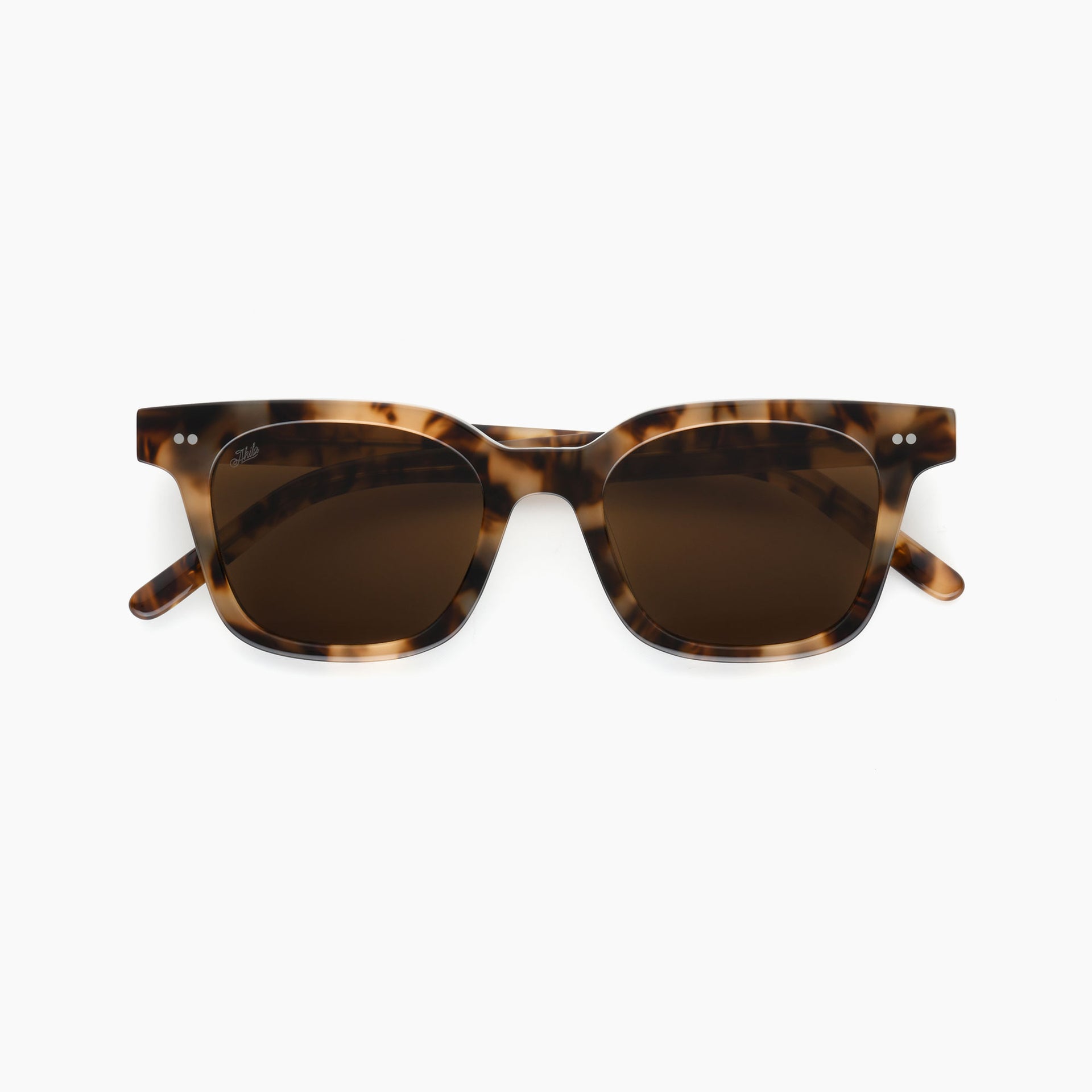 Tortoise / Brown