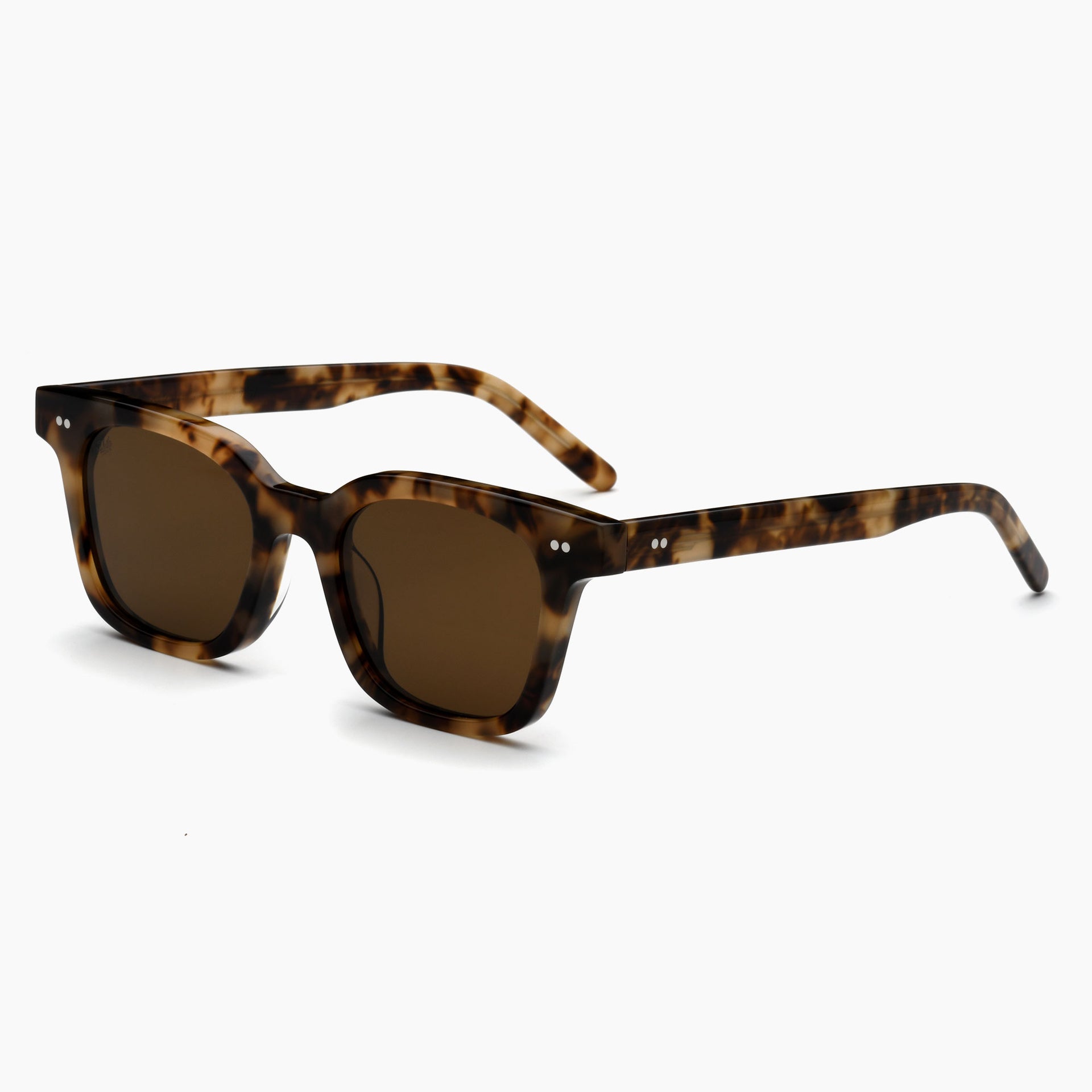 Tortoise / Brown