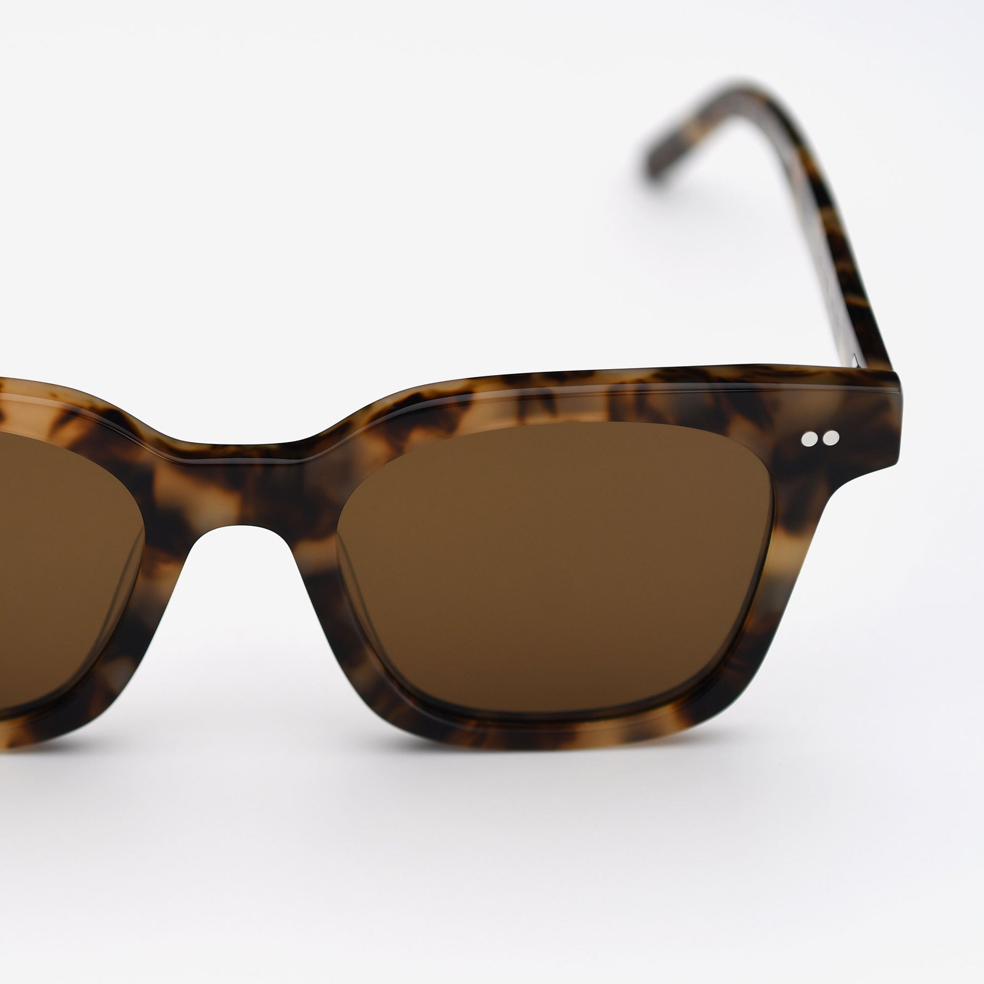 Tortoise / Brown