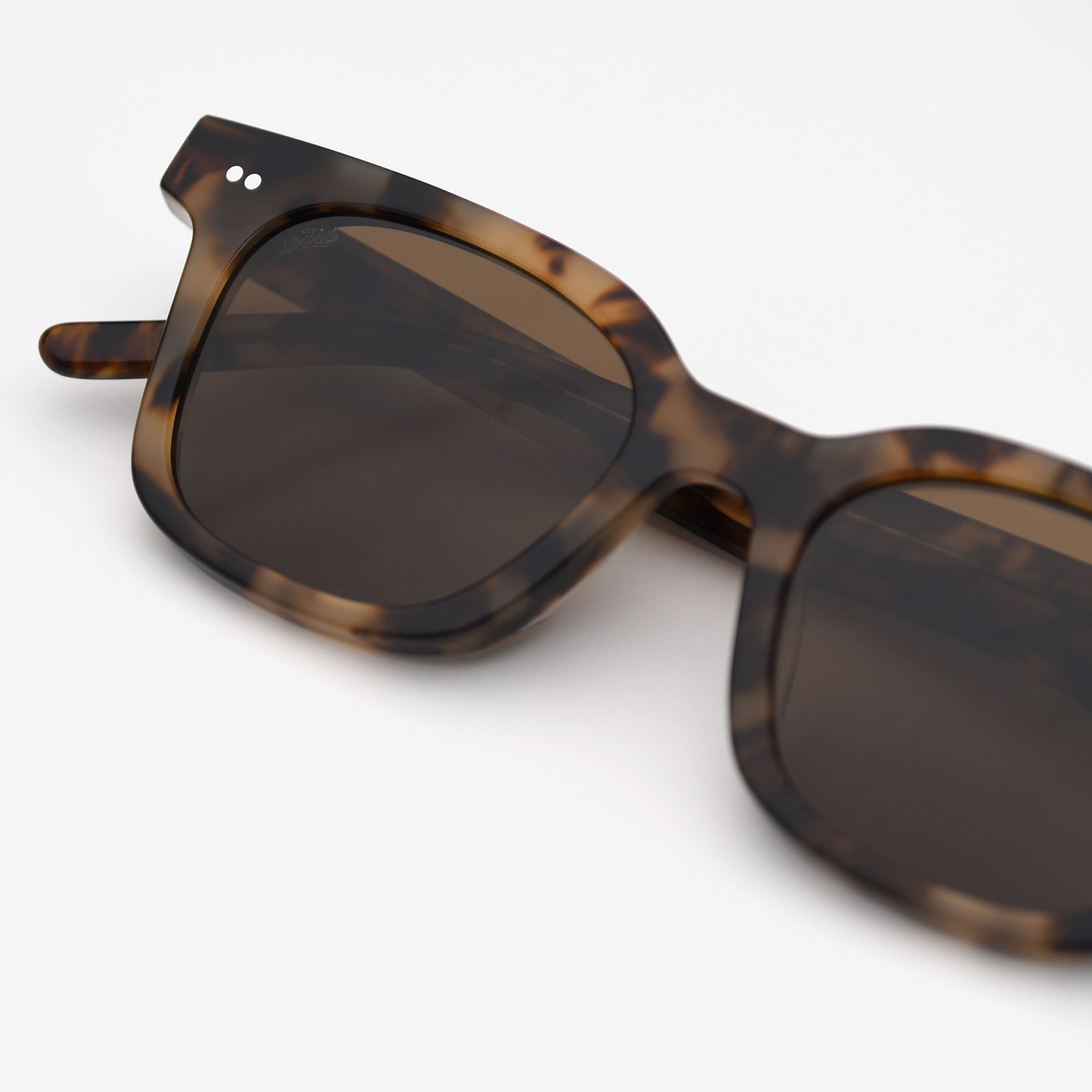 Tortoise / Brown