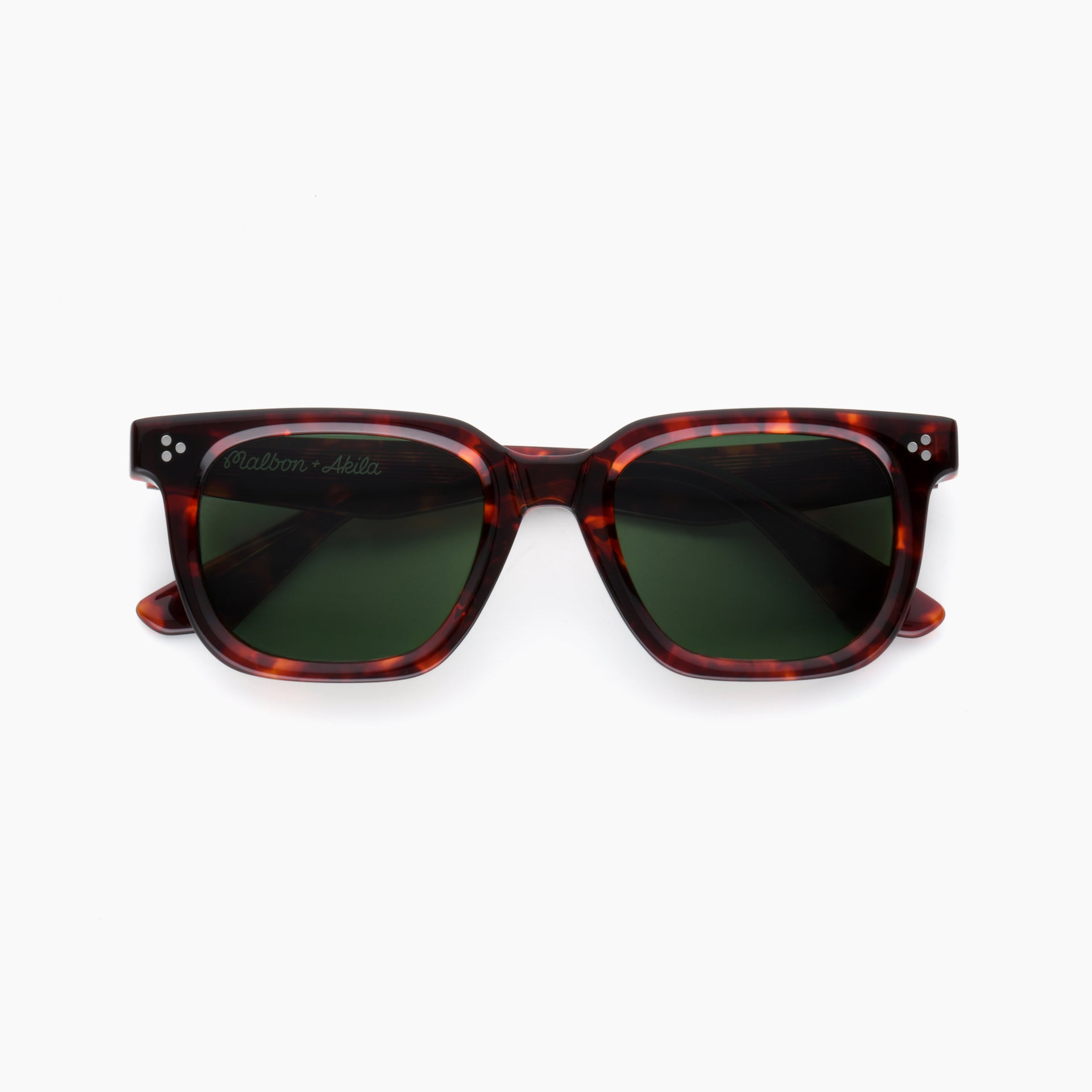 Tortoise / Green