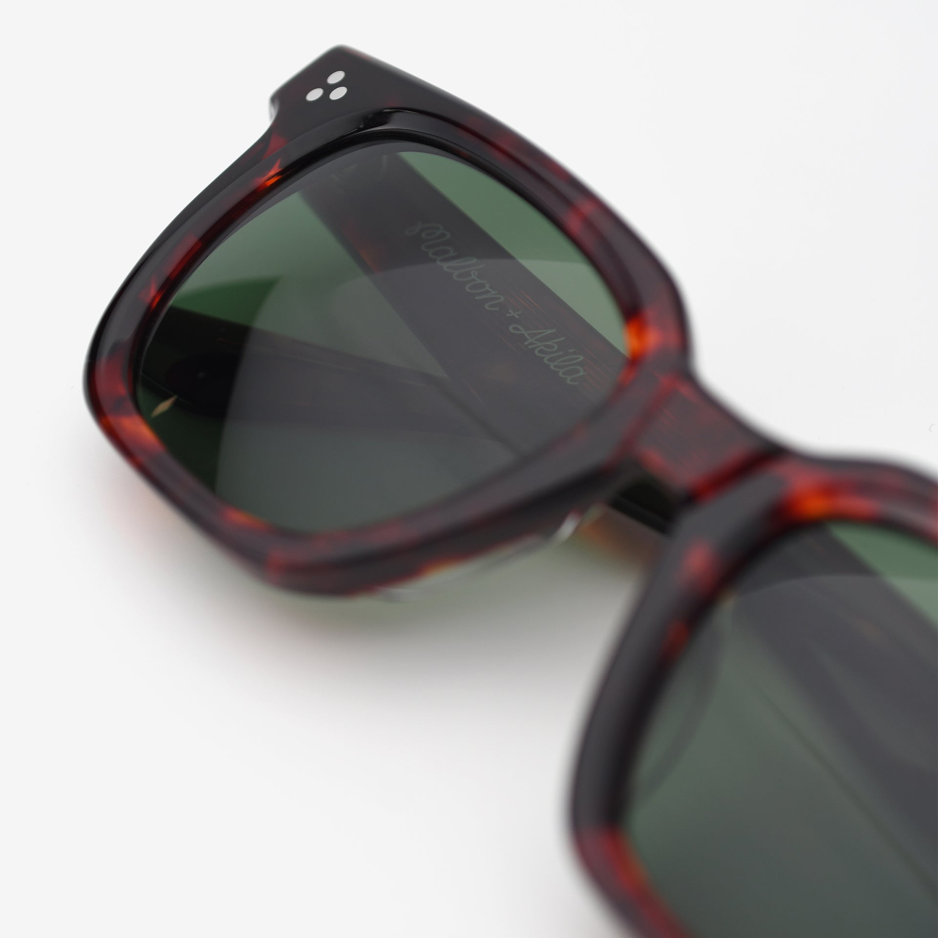 Tortoise / Green