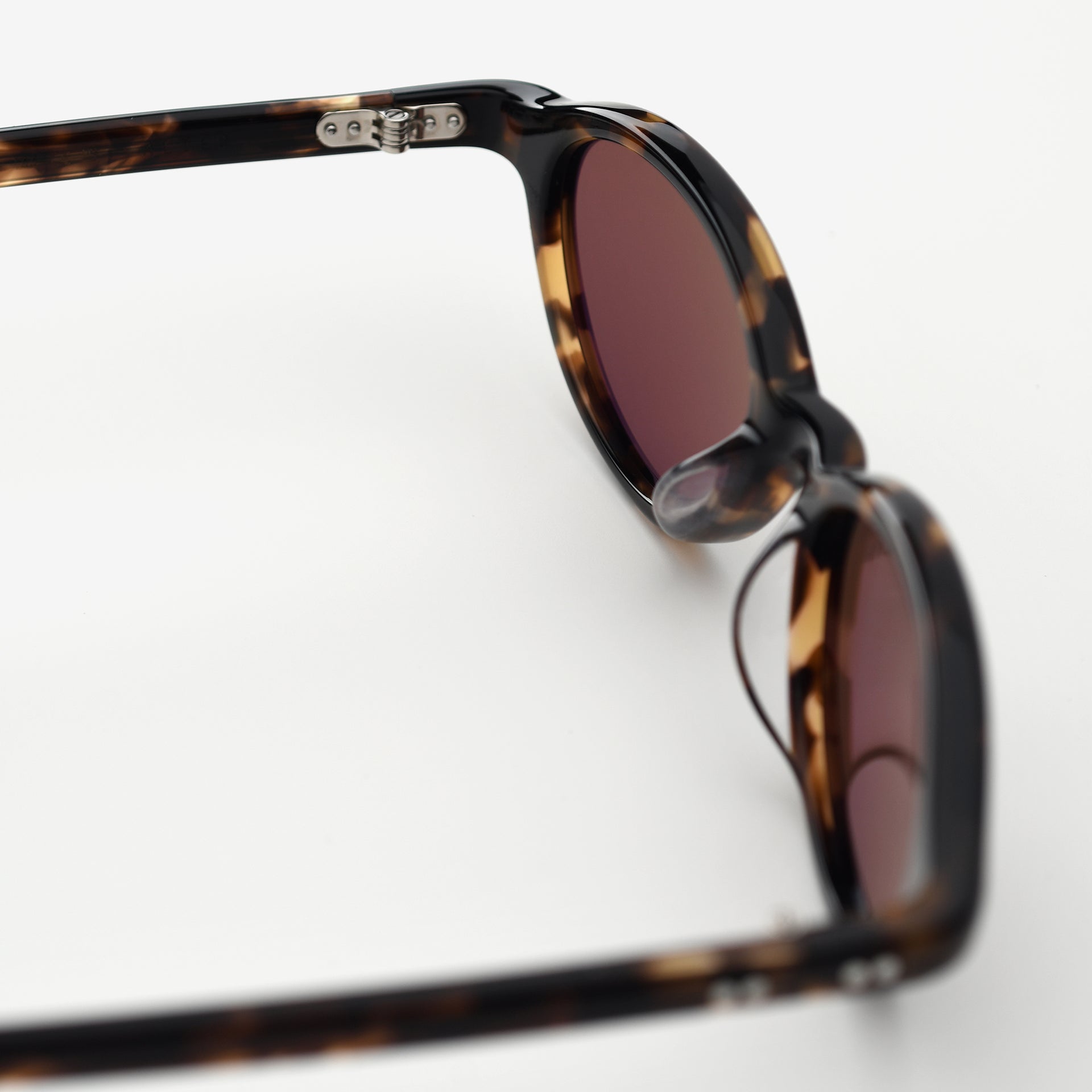 Tortoise / Brown