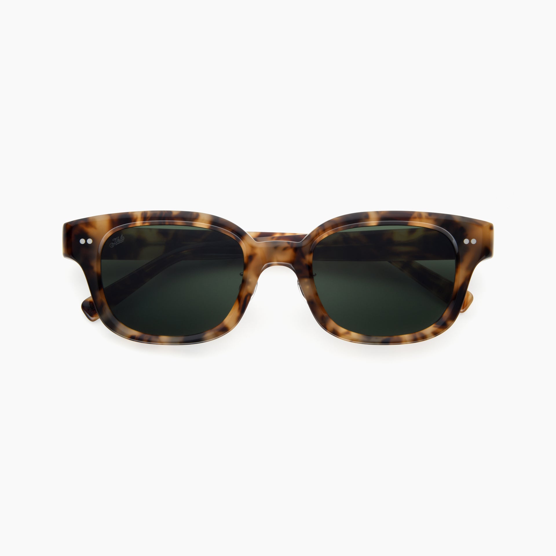 Tortoise / Pine