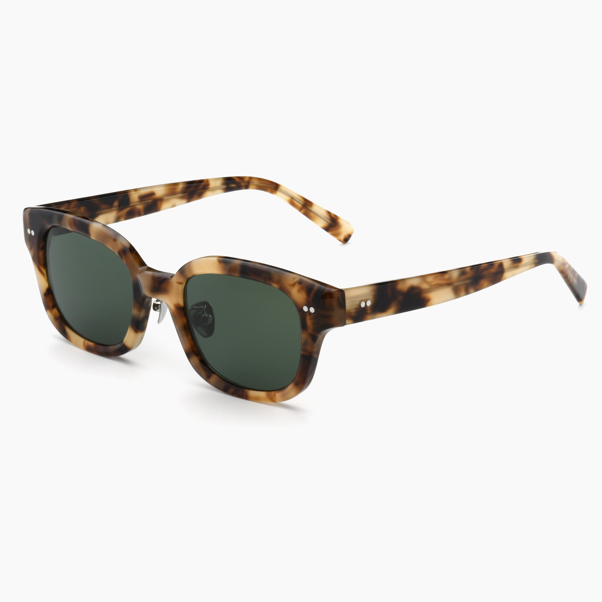 Tortoise / Pine