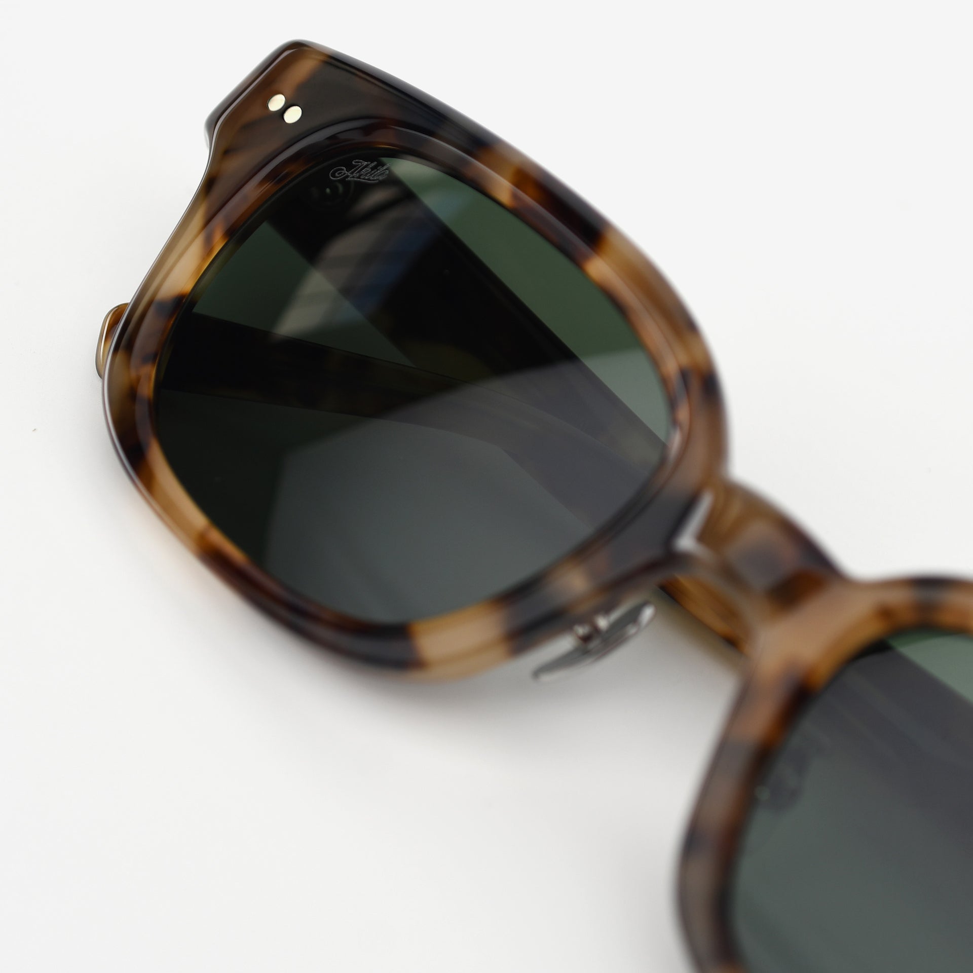 Tortoise / Pine