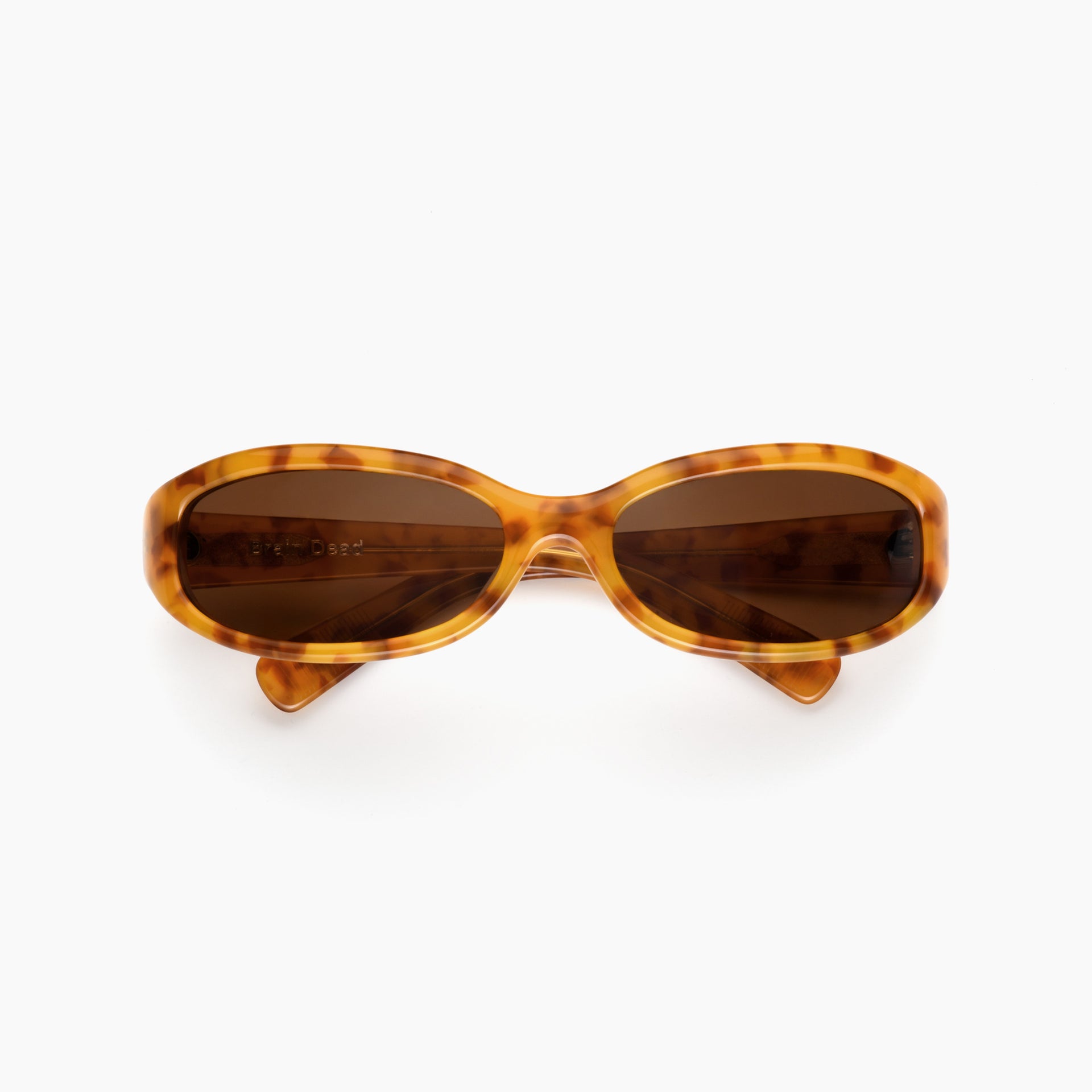Lt Tortoise / Brown