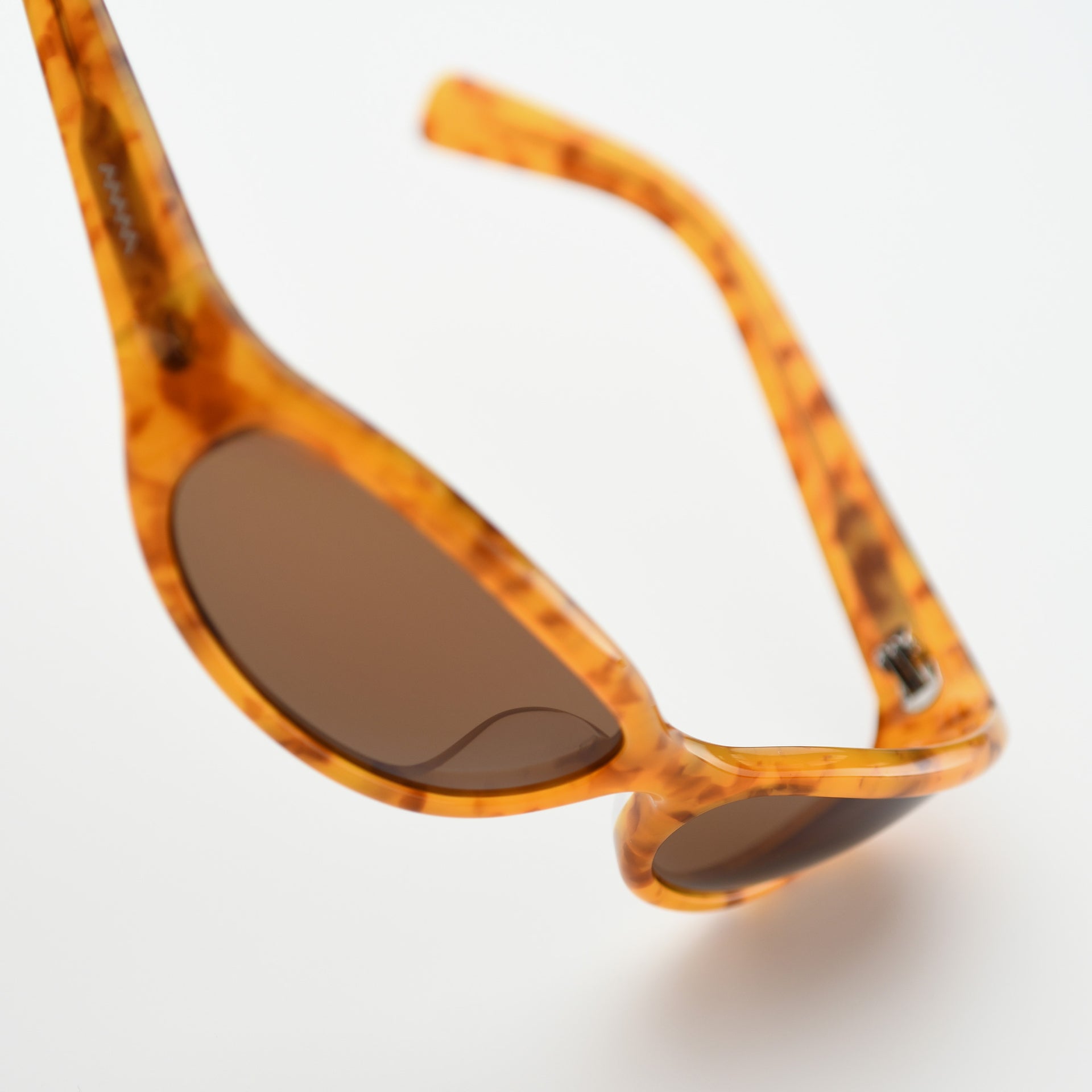 Lt Tortoise / Brown