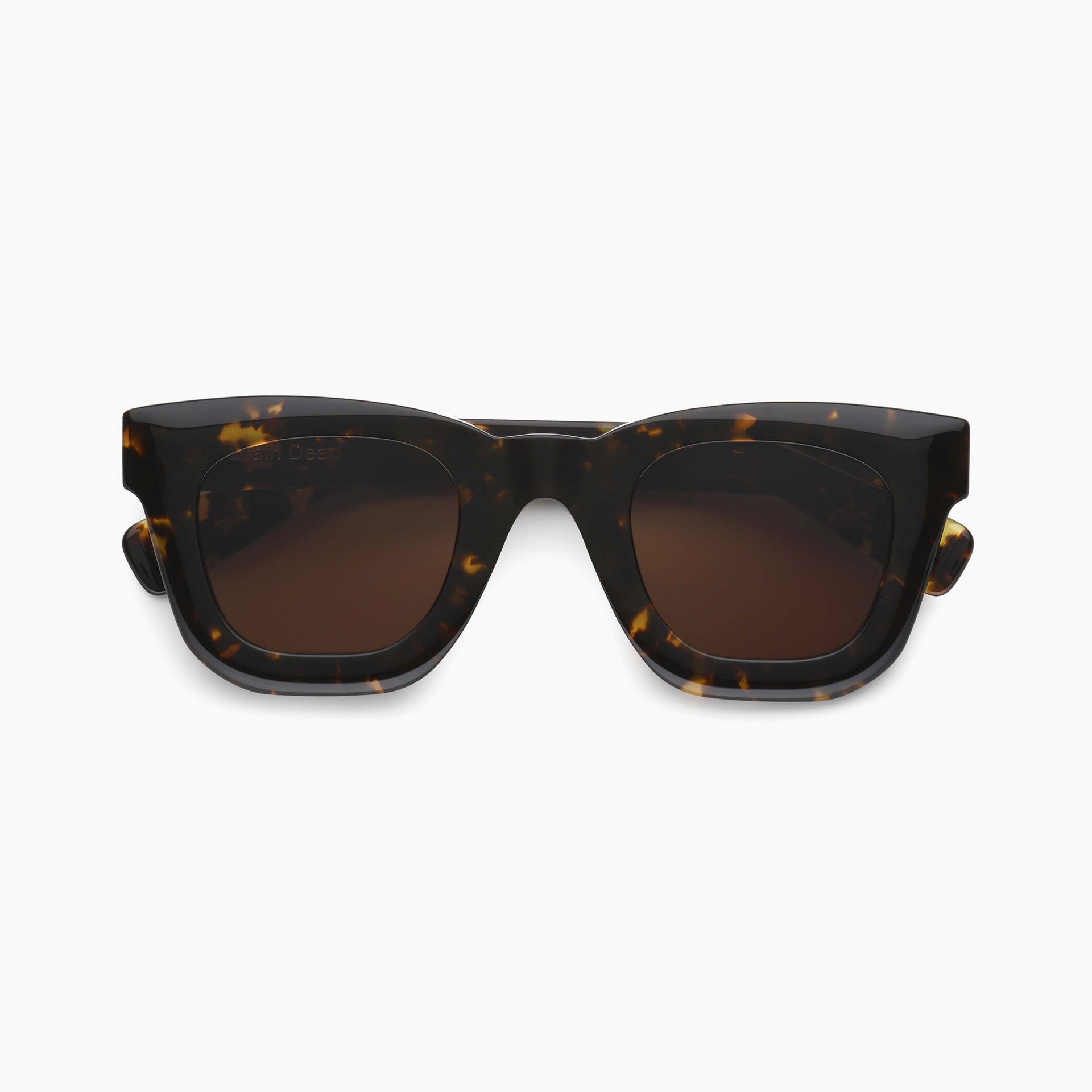 Tortoise / Brown