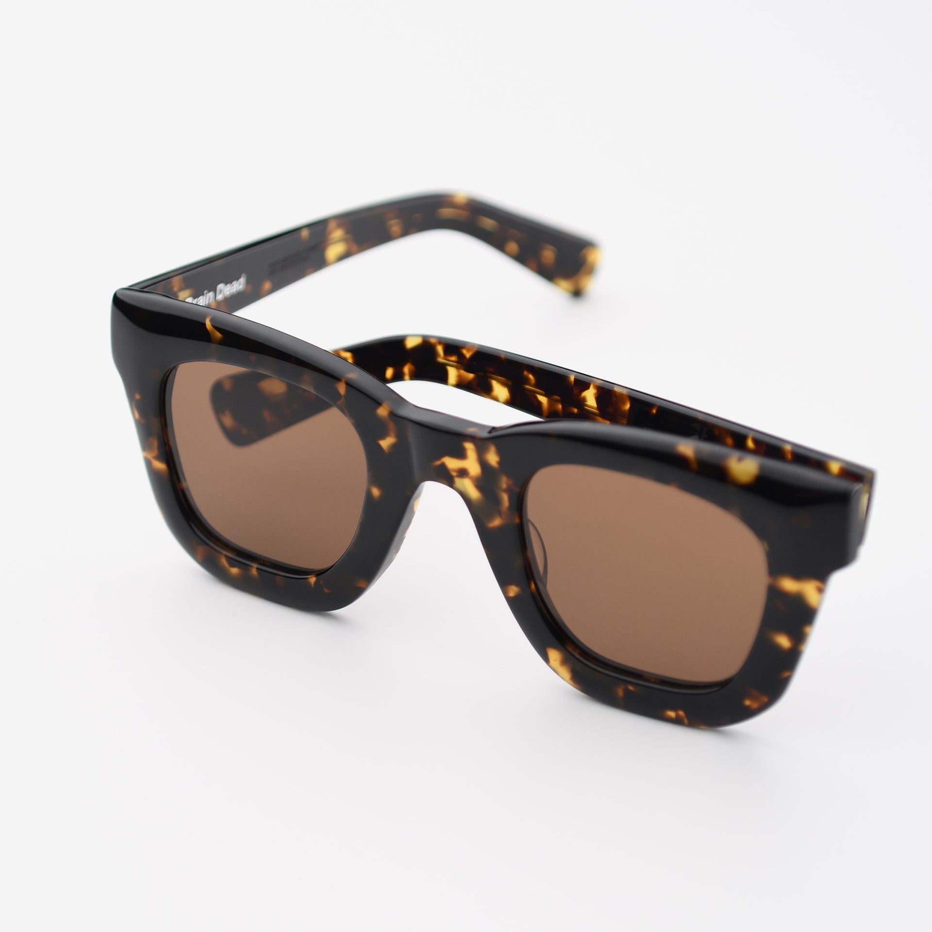 Tortoise / Brown
