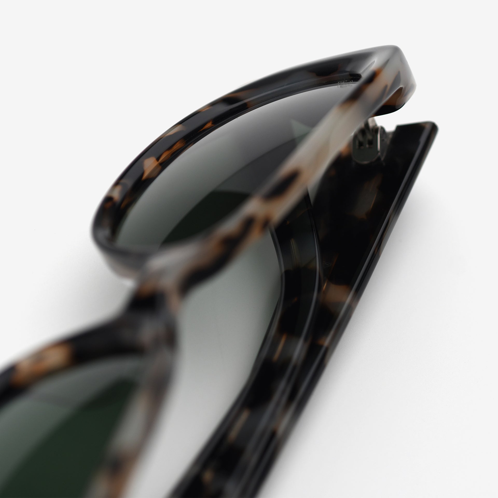 Tortoise / Pine