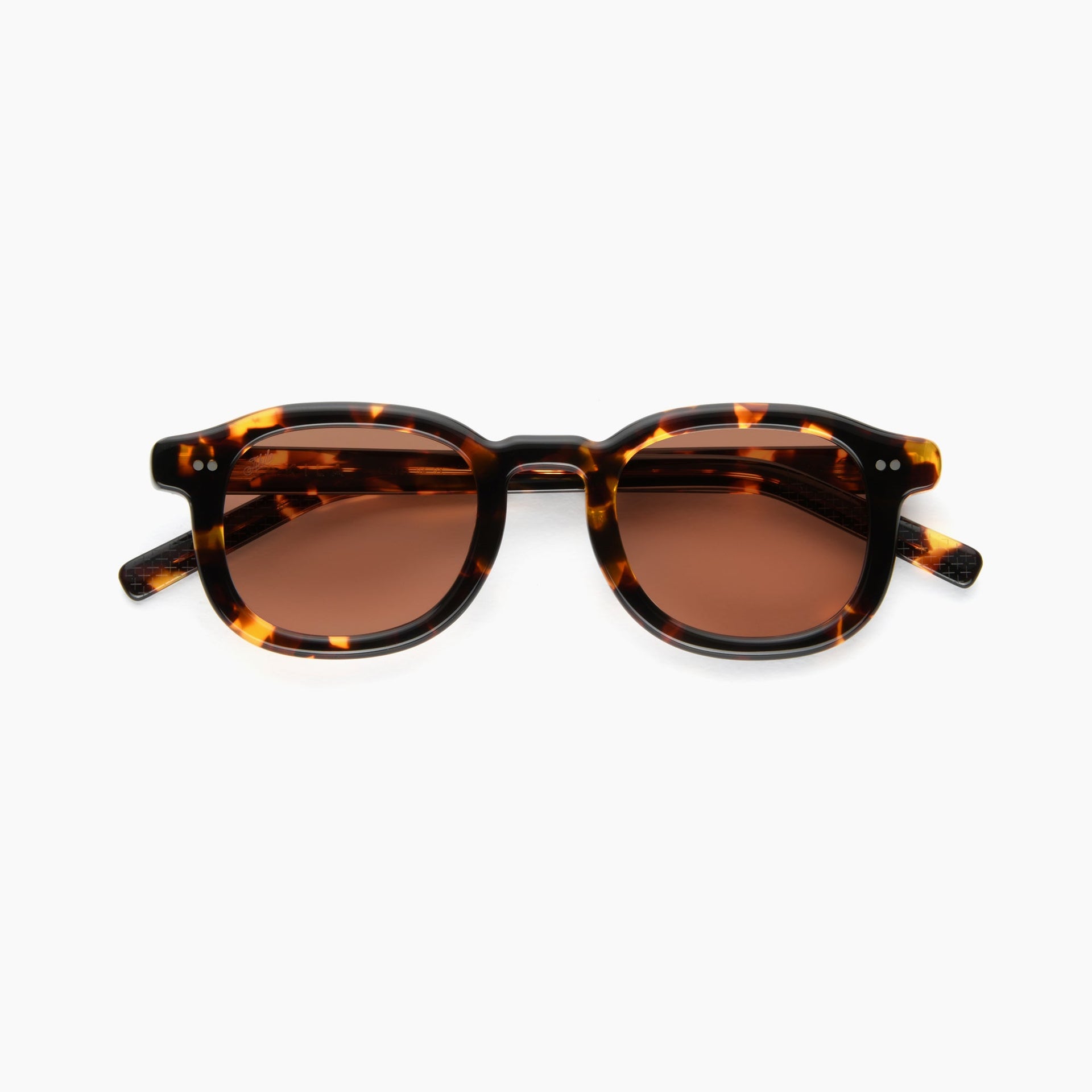 Tokyo Tortoise / Light-Adaptive Peach