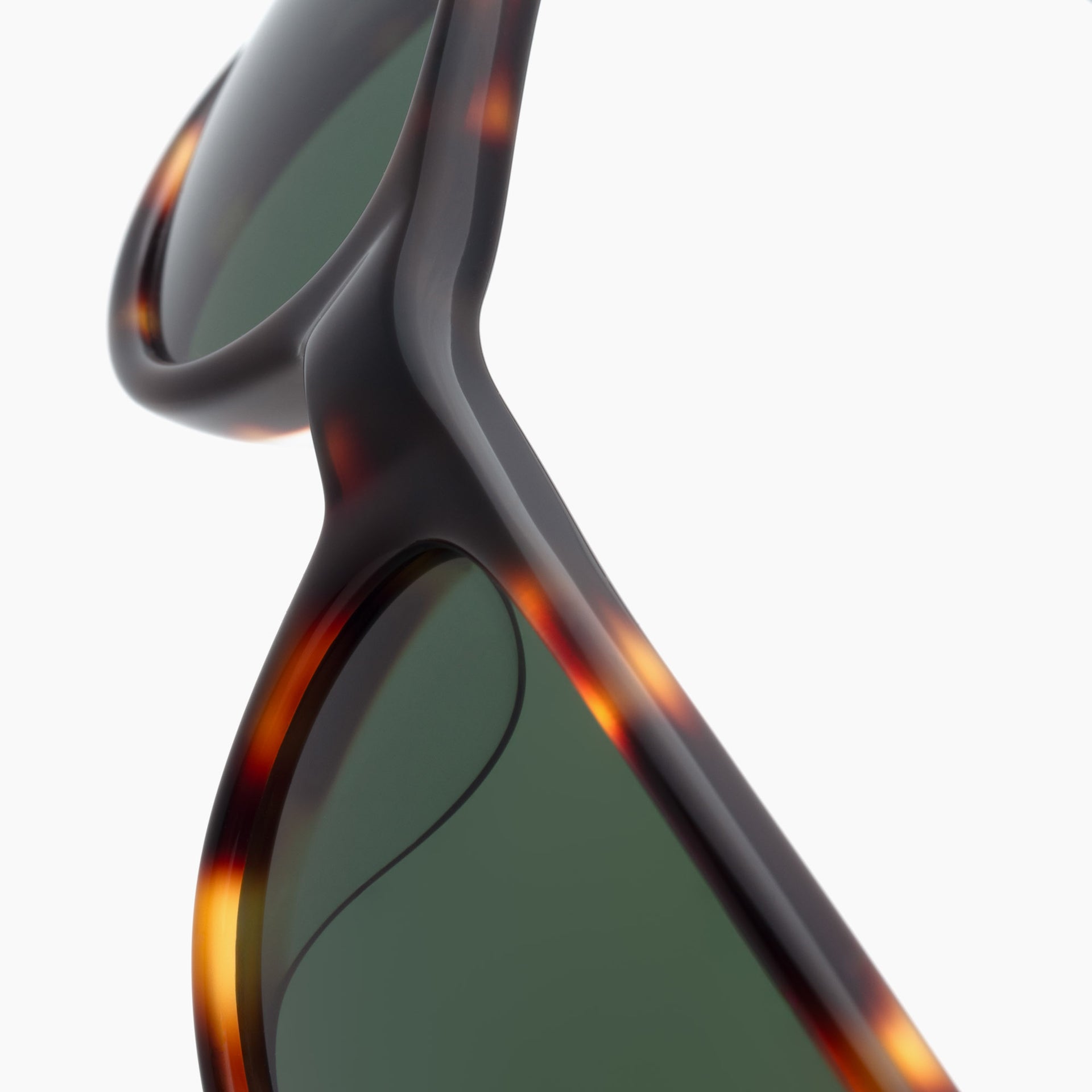 Tortoise / Bottle Green